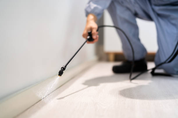 Licensed Termite Control service in Bel Air, MD - Nex Pest Control