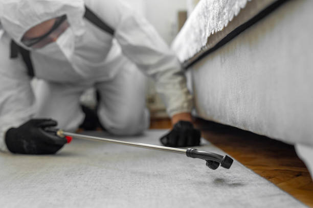 Professional Termite Control technician working in Bel Air, MD