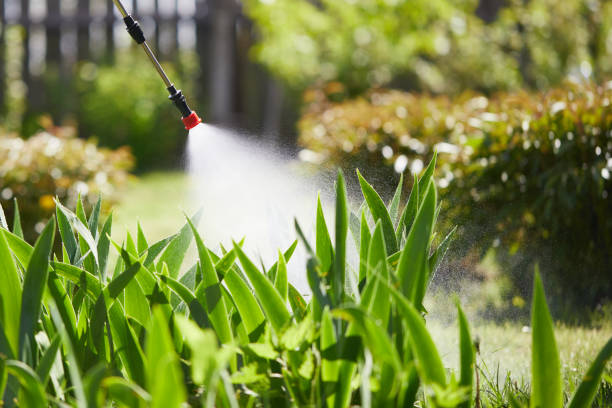 24/7 Emergency Termite Control experts in Bel Air, MD