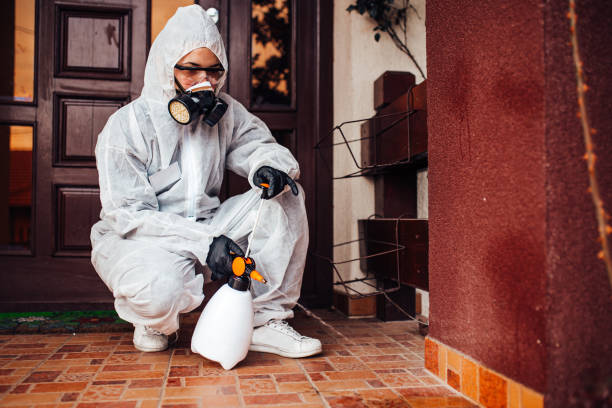 Reliable Termite Control contractor in Bel Air, MD by Nex Pest Control